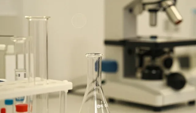 技术选型中的关键考量因素与实践策略